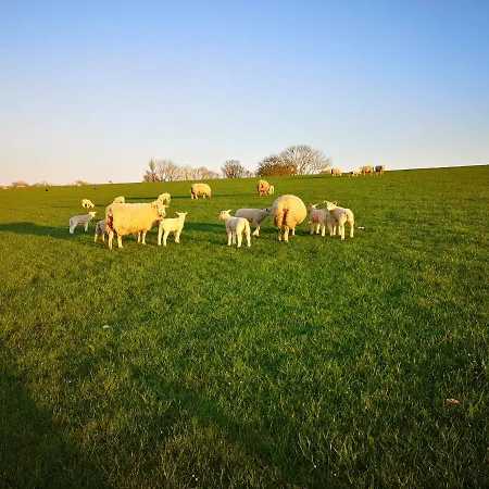 Libelle Apartament Burhave