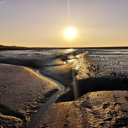 Libelle Appartement *